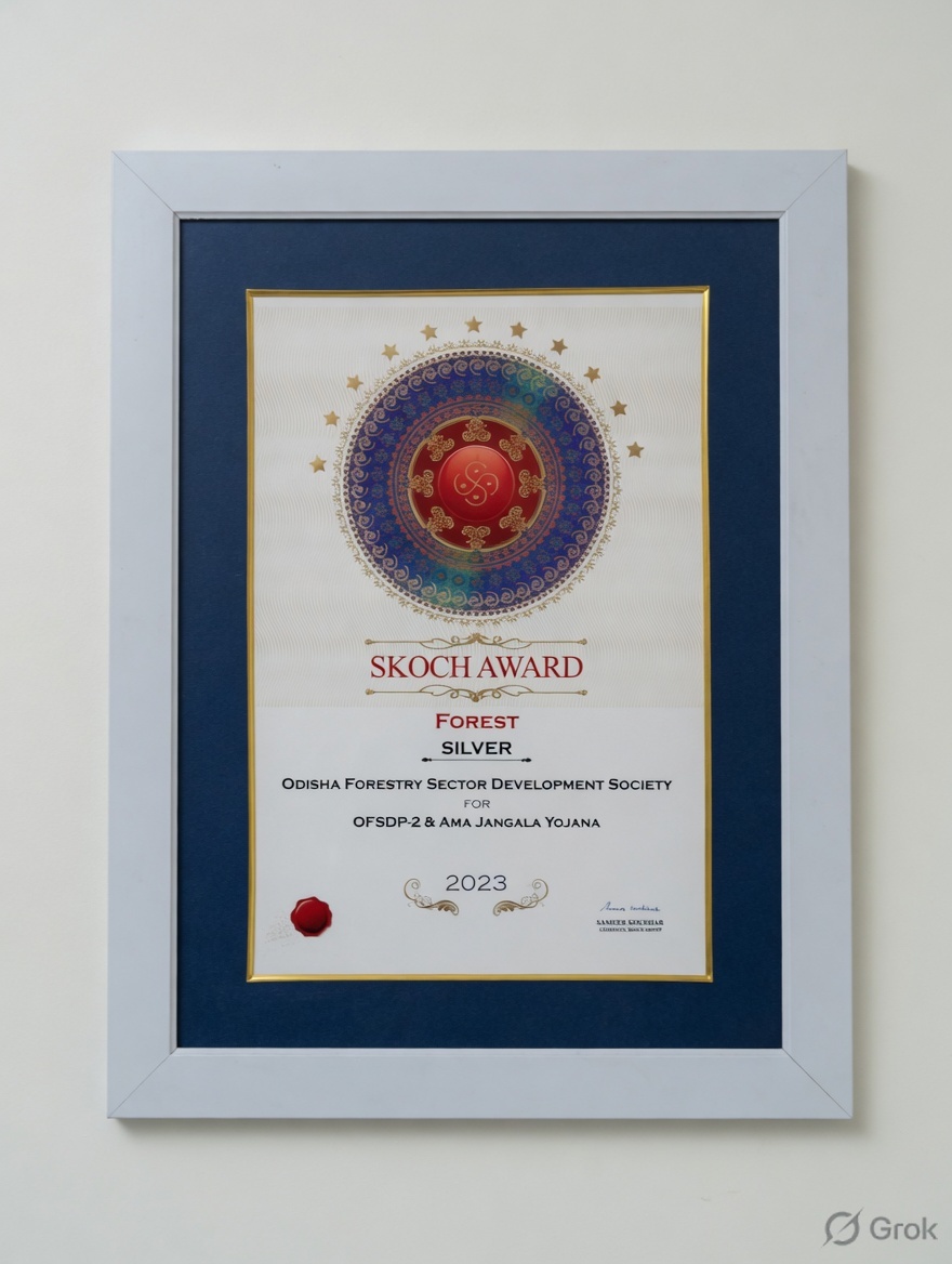 Skoch Award